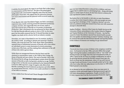 Open book spread from The Conspiracy Theory of Everything showing pages 30 and 31 discussing fluoride and chemtrails.